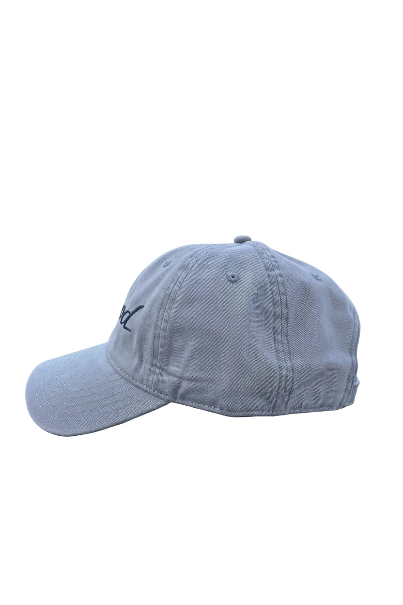 Driftwood Dad Hat
