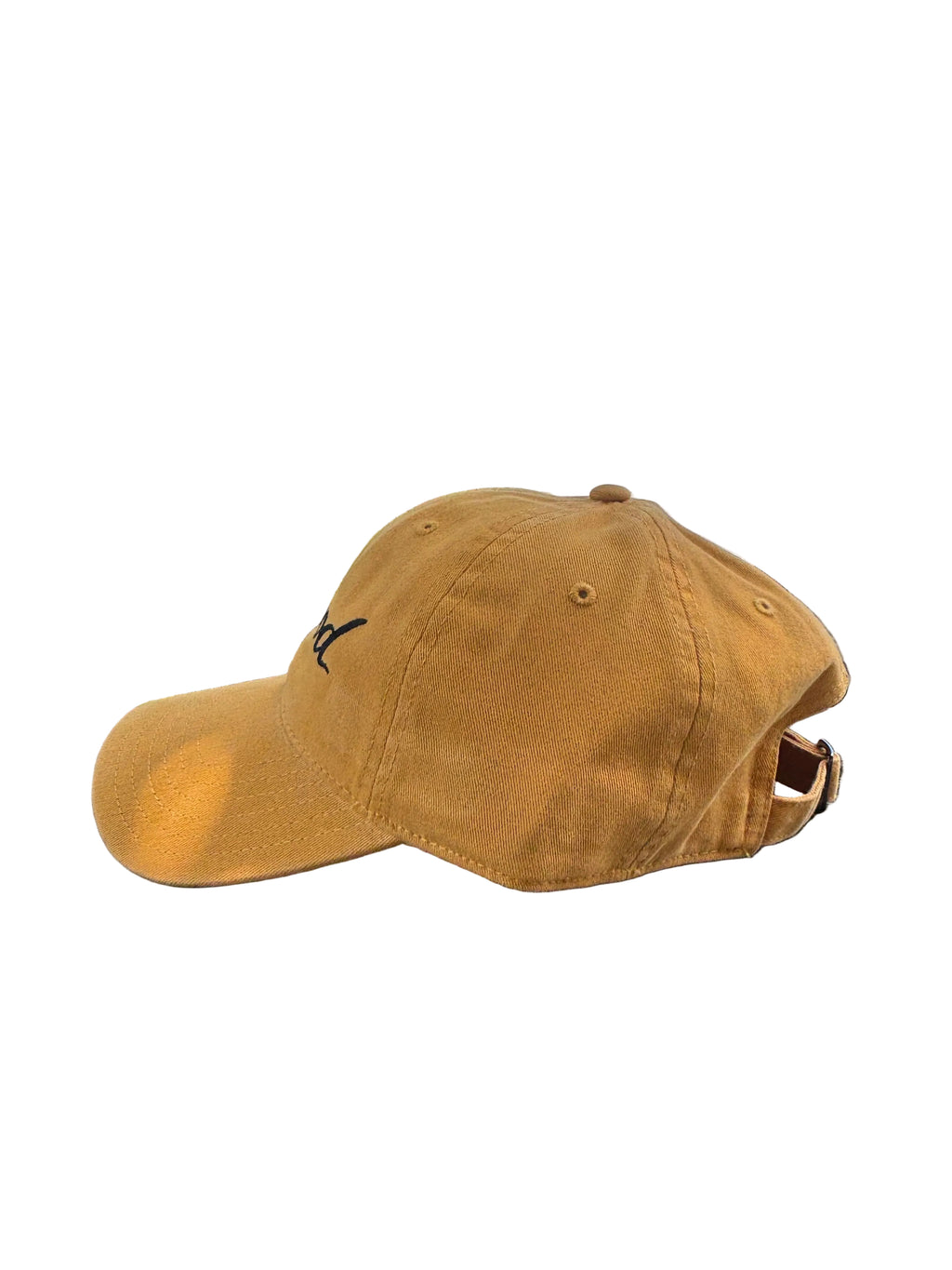 Driftwood Dad Hat