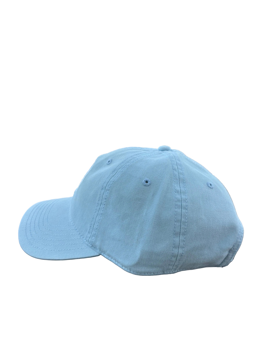 Driftwood Logo Dad Hat