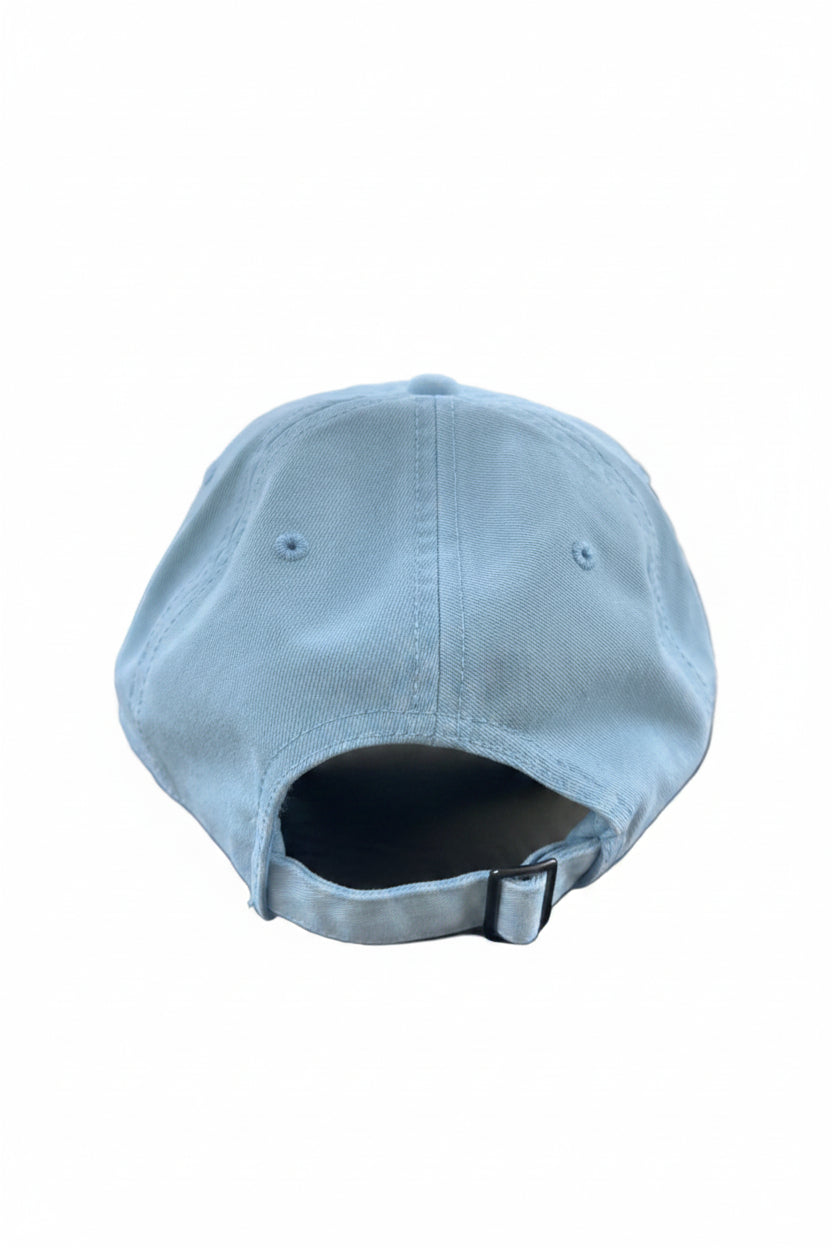 Driftwood Logo Dad Hat
